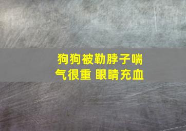 狗狗被勒脖子喘气很重 眼睛充血